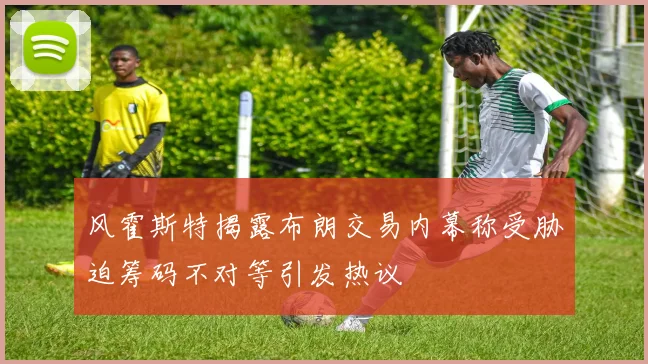 风霍斯特揭露布朗交易内幕称受胁迫筹码不对等引发热议