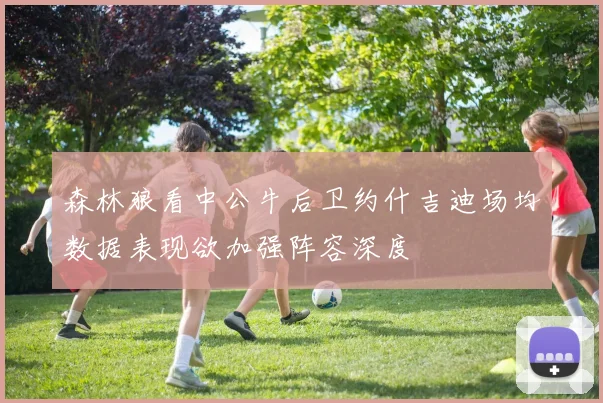 森林狼看中公牛后卫约什吉迪场均数据表现欲加强阵容深度